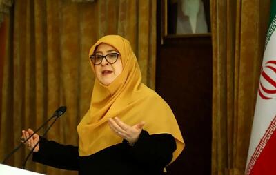 شفاف سازی مهاجرانی از حجم اطلاعات به دست آمده از اسرائیل