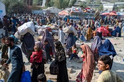 قالیباف جلوی این فاجعه بزرگ می‌ایستد؟؛ به اسم ساماندهی اتباع افغانی، منافع کشور را نابود می کنید