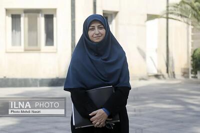 چند نوبت آب هیرمند به سمت ایران هدایت شد ولی باز هم کافی نیست/ تقویت دیپلماسی در حوزه مقابله با گرد و غبار مهم است