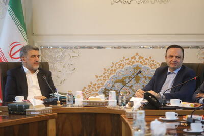 پروژه بورس بین‌الملل در مناطق آزاد با همکاری سازمان بورس احیا می‌شود