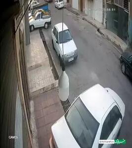ویدئویی از سرقت عجیب یک لامپ با سمند!