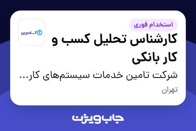 استخدام کارشناس تحلیل کسب و کار بانکی در شرکت تامین خدمات سیستم‌های کاربردی کاسپین