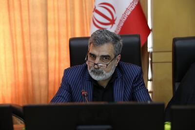 کمالوندی: اقدام در برابر اقدام، همکاری در مقابل همکاری/ غربی‌ها دنبال بهانه برای فعال کردن مکانیسم ماشه هستند