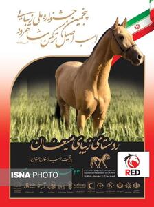 برگزاری پنجمین جشنواره اسب اصیل ترکمن در میغان - پارس فوتبال