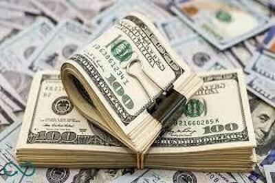جزئیات بیشتر از «پیش‌فروش ارز» اعلام شد