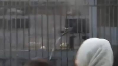 حرکت عجیب میمون باغ وحش ارم