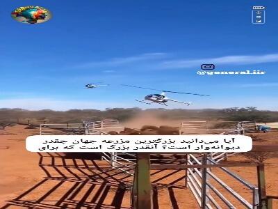 بزرگترین مزرعه جهان با مساحت ۵۸ میلیون هکتار