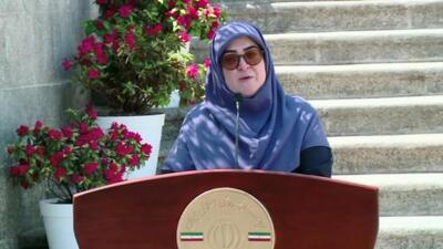نان گران می‌شود؟