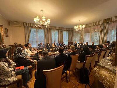 میدری: بهره‌مندی از توانمندی‌های ایرانیان خارج از کشور پیگیری می شود