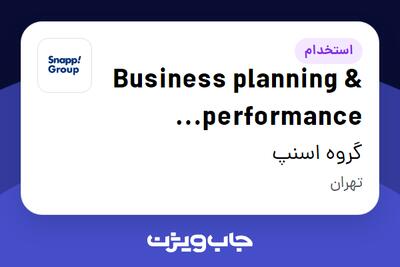 استخدام Business planning   performance specialist در گروه اسنپ