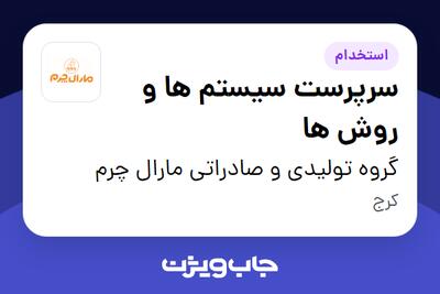 استخدام سرپرست سیستم ها و روش ها - آقا در گروه تولیدی و صادراتی مارال چرم