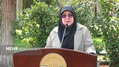 مهاجرانی: تلاش می کنیم شاهد قطعی گاز در زمستان نباشیم