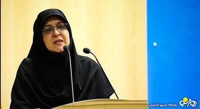 مهاجرانی: واردات خودرو در جلسه هیات دولت تصویب شد