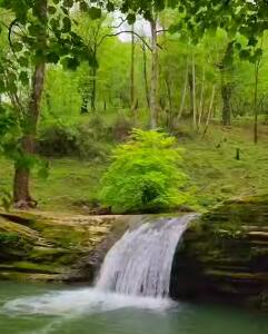 صدای زیبای طبیعت