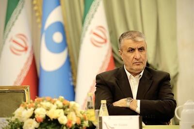 واکنش رئیس سازمان انرژی اتمی به تصویب قطعنامه در شورای حکام: اروپا و آمریکا با کمک آژانس به‌دنبال امتیازگیری از ایران هستند