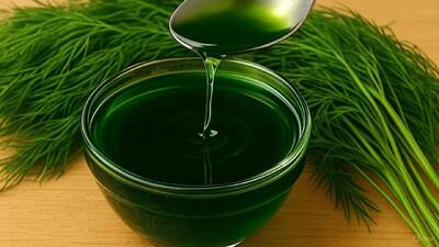 طرز تهیه روغن شوید برای زیبایی و آشپزی | روغن همه کاره