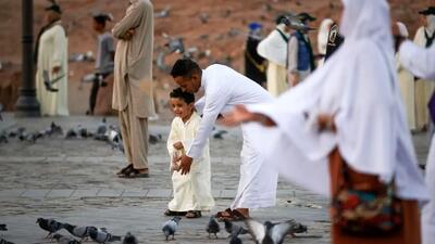 تصاویر؛ زیارت اماکن مقدس مدینه