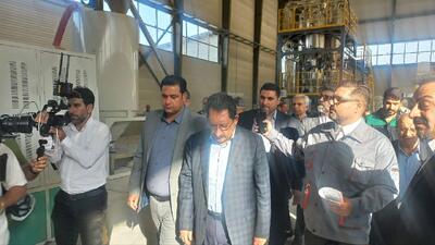 وزیر صمت از طرح های صنعتی شهرستان چرداول بازدید کرد