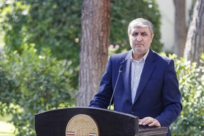 رییس سازمان انرژی اتمی ایران در مورد واکنش کشورمان به قطعنامه شورای حکام توضیح خواهد داد