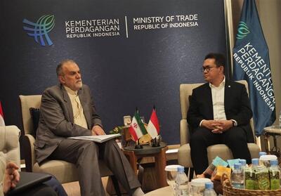 دعوت معاون عراقچی از وزیر تجارت اندونزی برای سفر به تهران - تسنیم
