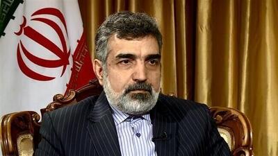 کمالوندی: خسارات در نطنز سطحی بوده است