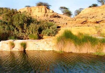 غدیر خم و مسجد مبارکی که دیگر نیست - تسنیم