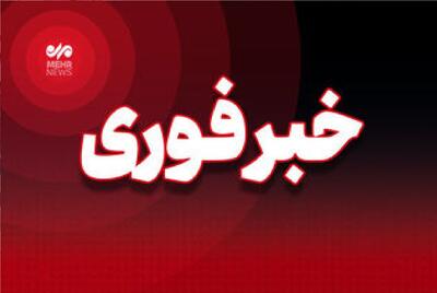 تعدادی ریزپرنده اسرائیلی در مشهد منهدم شد