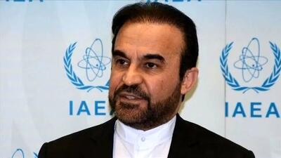 رضا نجفی: خروج یا عدم خروج از ان پی تی منوط به تحولات پیش رو است