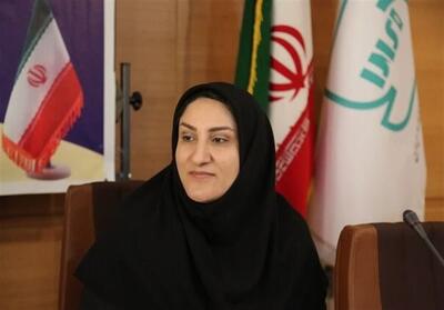الگوآفرینی واحدهای تولیدی در تحقق سرمایه‌گذاری برای تولید - تسنیم