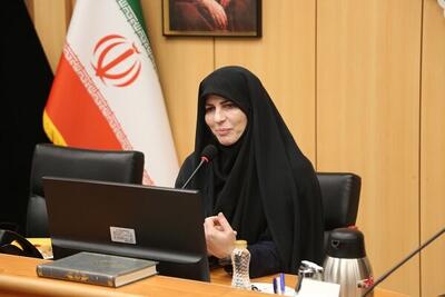 کمک‌های مشاوره‌ای حضوری و آنلاین در محلات پایتخت انجام می‌شود