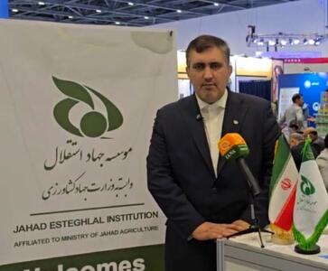 ١٠ هزار تن حبوبات هفته آینده در بازار توزیع می‌شود / انبارهای روغن پر است