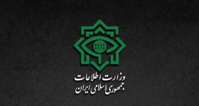 گزارش وزارت اطلاعات از شناسایی و نابودی جاسوس‌های بیگانه
