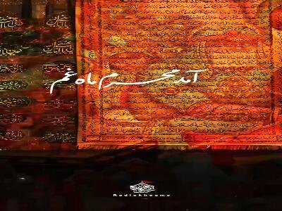 شد کشته تیغ ستم بر سینه صحرا حسین(ع)...