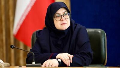 سخنگوی دولت: خبرنگاران شرایط ویژه کشور را درک کنند/ هنر می‌تواند جامعه را به آرامش برساند