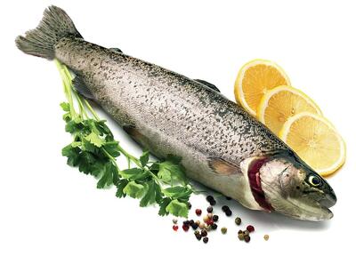 مصرف کدام نوع ماهی ها برای کودکان مجاز است؟