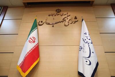 جزئیات طرح الزام دولت به تعلیق همکاری با آژانس بین‌المللی انرژی اتمی از زبان سخنگوی شورای نگهبان