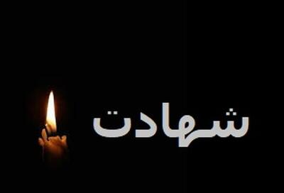 ۱۲ عضو خانواده شهید دانشمند صدیقی به شهادت رسیدند + عکس