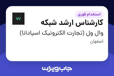 استخدام کارشناس ارشد شبکه در وال ول (تجارت الکترونیک اسپادانا)
