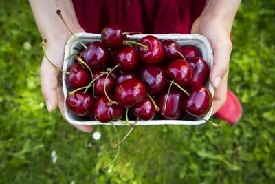 طرز تهیه مربای گیلاس ؛ از کجا بفهمیم غلظت مربا خوب است؟