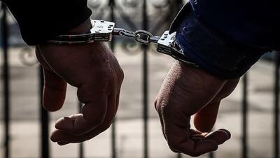 دستگیری ۲۶ نفر از عاملین نفوذی رژیم صهیونیستی در خوزستان
