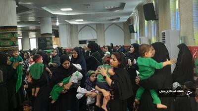 همایش شیرخوارگان حسینی درهرمزگان؛ فردا
