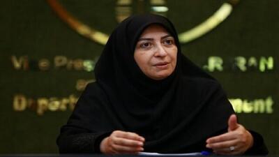 قدردانی رئیس سازمان حفاظت محیط زیست از محیط‌بانان هنگام تجاوز رژیم صهیونیستی به کشور