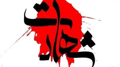 شهادت بوکسور دانشمند هسته‌ای ایران در حملات رژیم صهیونیستی