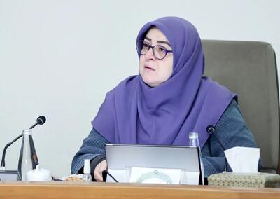 سخنگوی دولت: رابطه ما با آژانس شکل جدیدی می‌گیرد