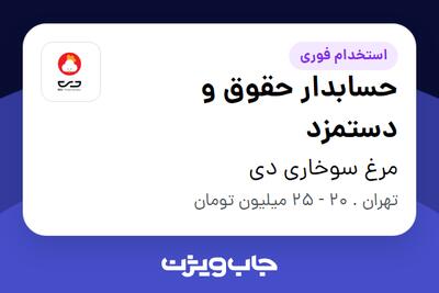 استخدام حسابدار حقوق و دستمزد در مرغ سوخاری دی