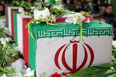 دانشمند هسته‌ای کشورمان در حملات صهیونیستی به شهادت رسید