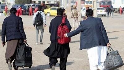 سیاست‌های پلیس در خصوص طرد اتباع غیر مجاز تغییر نکرده است
