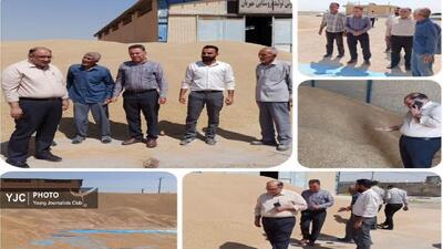 گندم مزارع زرقان همزمان با ایام تهاجم اسراییل به کشور برداشت شد