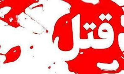 مهمانی مرگبار؛ قتل زن سالخورده
