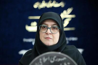 سخنگوی دولت: وحدت ملی فراتر از گرایش‌ها و سلایق سیاسی است